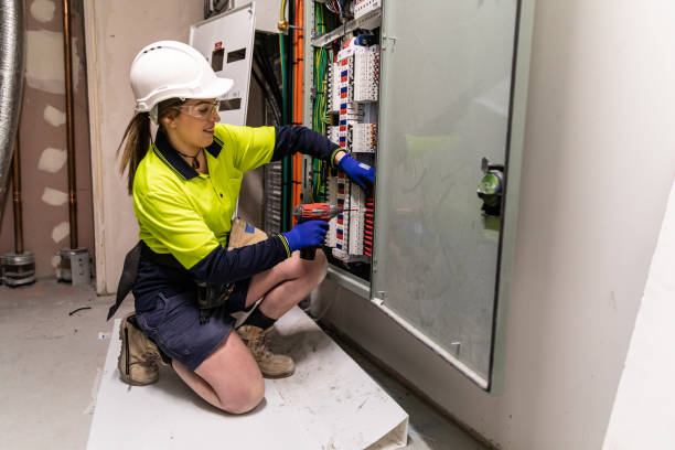 Best Local Electrician Companies  in Ludowici, GA