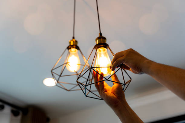 Best Ceiling Fan Installation Electrician  in Ludowici, GA