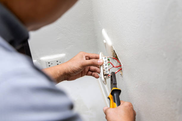 Best Home Electrical Repair  in Ludowici, GA